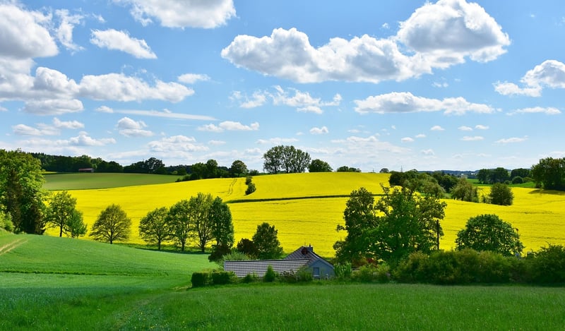 Green spaces in cities